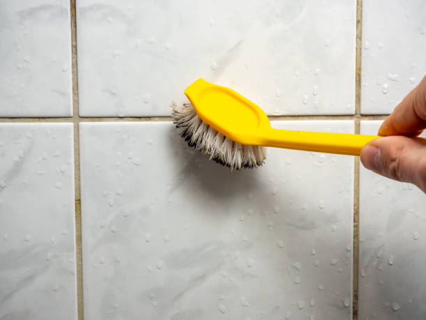 Best Mold Damage Repair  in Earlimart, CA