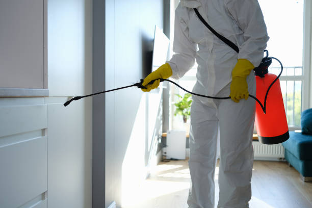 Best Mold Inspection  in Earlimart, CA
