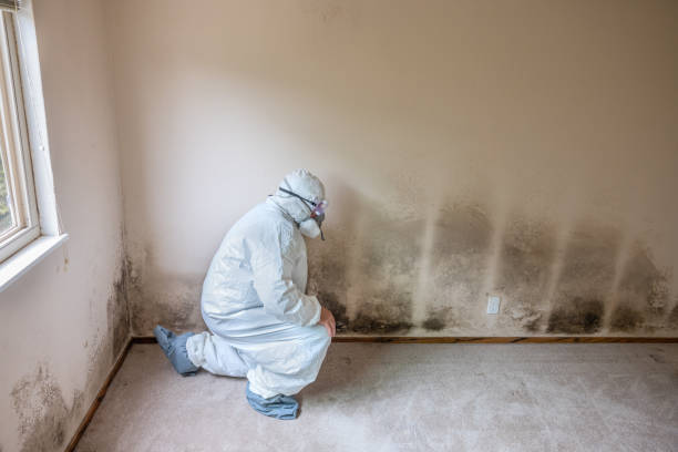 Best Mold Removal Process  in Earlimart, CA